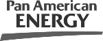 Pan_American_Energy_logo.svg(2)